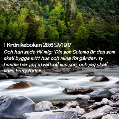 Picture 02 - 1 Krönikeboken 28:6 SV1917 - Och han sade till mig: 'Din son Salomo är den - Bible Verse Picture