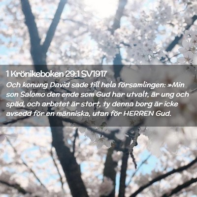 Picture 02 - 1 Krönikeboken 29:1 SV1917 - Och konung David sade till hela församlingen: - Bible Verse Picture