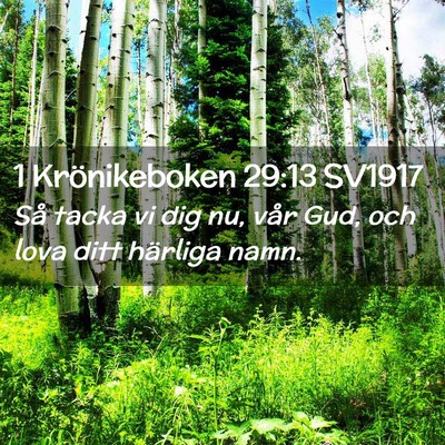 Picture 02 - 1 Krönikeboken 29:13 SV1917 - Så tacka vi dig nu, vår Gud, och lova ditt - Bible Verse Picture