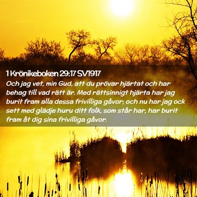 Picture 02 - 1 Krönikeboken 29:17 SV1917 - Och jag vet, min Gud, att du prövar hjärtat och - Bible Verse Picture