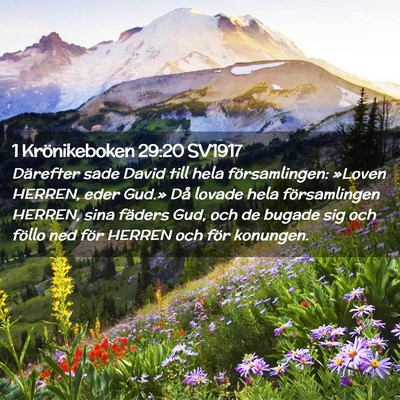 Picture 02 - 1 Krönikeboken 29:20 SV1917 - Därefter sade David till hela församlingen: - Bible Verse Picture