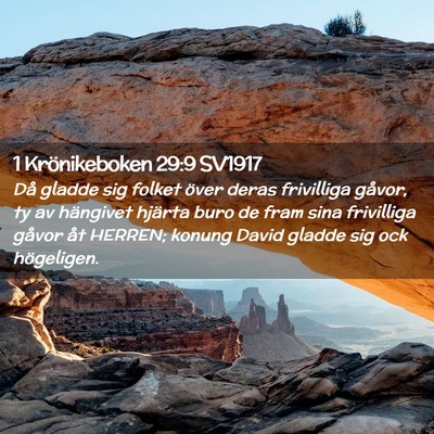 Picture 02 - 1 Krönikeboken 29:9 SV1917 - Då gladde sig folket över deras frivilliga - Bible Verse Picture