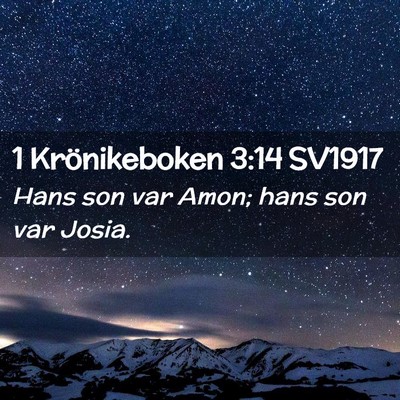 Picture 02 - 1 Krönikeboken 3:14 SV1917 - Hans son var Amon; hans son var - Bible Verse Picture