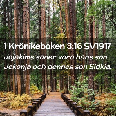Picture 02 - 1 Krönikeboken 3:16 SV1917 - Jojakims söner voro hans son Jekonja och dennes - Bible Verse Picture