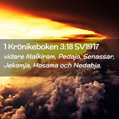 Picture 02 - 1 Krönikeboken 3:18 SV1917 - vidare Malkiram, Pedaja, Senassar, Jekamja, - Bible Verse Picture