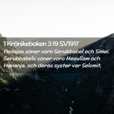Picture 02 - 1 Krönikeboken 3:19 SV1917 - Pedajas söner voro Serubbabel och Simei. - Bible Verse Picture