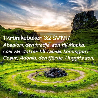 Picture 02 - 1 Krönikeboken 3:2 SV1917 - Absalom, den tredje, son till Maaka, som var - Bible Verse Picture
