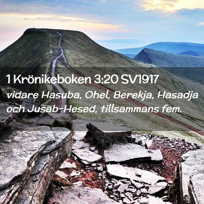 Picture 02 - 1 Krönikeboken 3:20 SV1917 - vidare Hasuba, Ohel, Berekja, Hasadja och - Bible Verse Picture