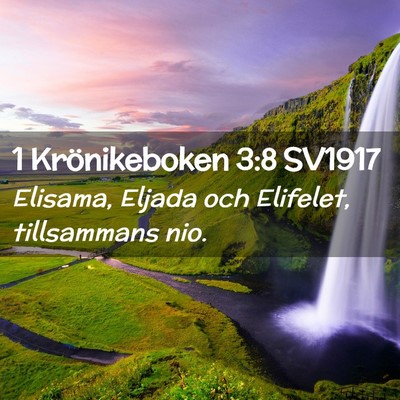 Picture 02 - 1 Krönikeboken 3:8 SV1917 - Elisama, Eljada och Elifelet, tillsammans - Bible Verse Picture