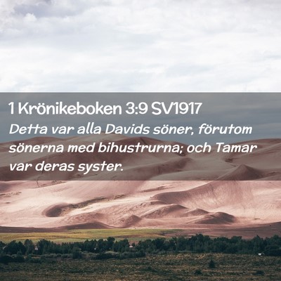 Picture 02 - 1 Krönikeboken 3:9 SV1917 - Detta var alla Davids söner, förutom sönerna - Bible Verse Picture