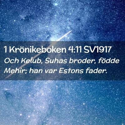 Picture 02 - 1 Krönikeboken 4:11 SV1917 - Och Kelub, Suhas broder, födde Mehir; han var - Bible Verse Picture