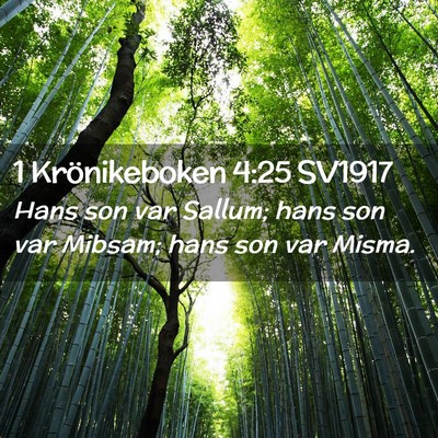 Picture 02 - 1 Krönikeboken 4:25 SV1917 - Hans son var Sallum; hans son var Mibsam; hans - Bible Verse Picture