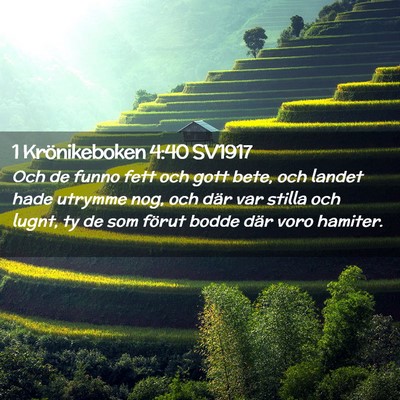 Picture 02 - 1 Krönikeboken 4:40 SV1917 - Och de funno fett och gott bete, och landet hade - Bible Verse Picture