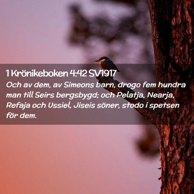 Picture 02 - 1 Krönikeboken 4:42 SV1917 - Och av dem, av Simeons barn, drogo fem hundra man - Bible Verse Picture