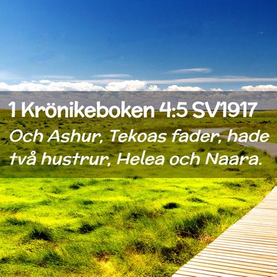 Picture 02 - 1 Krönikeboken 4:5 SV1917 - Och Ashur, Tekoas fader, hade två hustrur, Helea - Bible Verse Picture