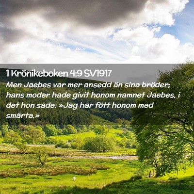 Picture 02 - 1 Krönikeboken 4:9 SV1917 - Men Jaebes var mer ansedd än sina bröder; hans - Bible Verse Picture