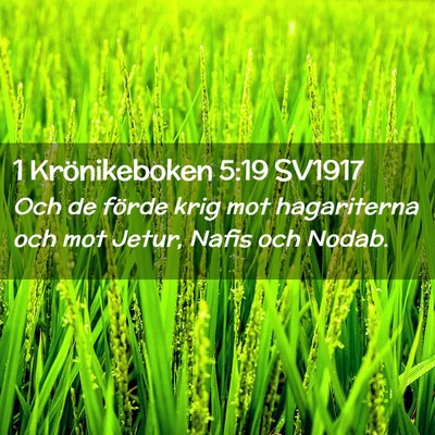 Picture 02 - 1 Krönikeboken 5:19 SV1917 - Och de förde krig mot hagariterna och mot Jetur, - Bible Verse Picture