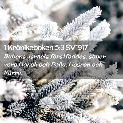 Picture 02 - 1 Krönikeboken 5:3 SV1917 - Rubens, Israels förstföddes, söner voro Hanok - Bible Verse Picture