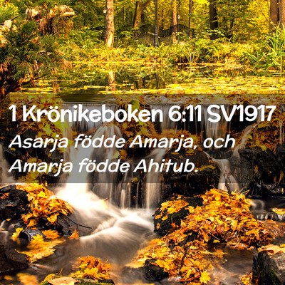 Picture 02 - 1 Krönikeboken 6:11 SV1917 - Asarja födde Amarja, och Amarja födde - Bible Verse Picture