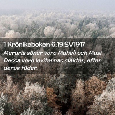 Picture 02 - 1 Krönikeboken 6:19 SV1917 - Meraris söner voro Maheli och Musi. Dessa voro - Bible Verse Picture