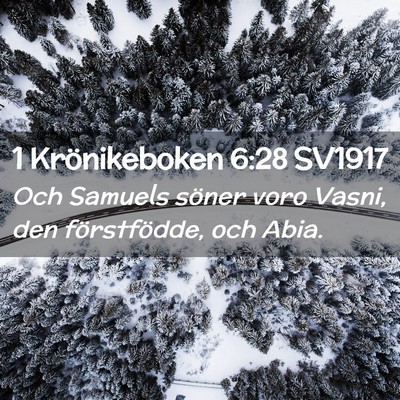 Picture 02 - 1 Krönikeboken 6:28 SV1917 - Och Samuels söner voro Vasni, den förstfödde, - Bible Verse Picture