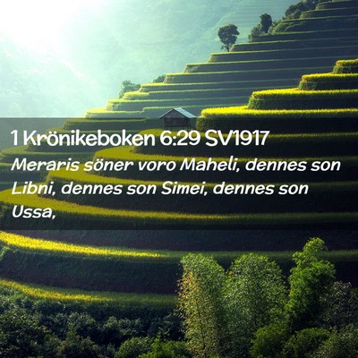 Picture 02 - 1 Krönikeboken 6:29 SV1917 - Meraris söner voro Maheli, dennes son Libni, - Bible Verse Picture
