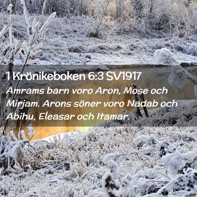 Picture 02 - 1 Krönikeboken 6:3 SV1917 - Amrams barn voro Aron, Mose och Mirjam. Arons - Bible Verse Picture