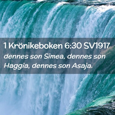 Picture 02 - 1 Krönikeboken 6:30 SV1917 - dennes son Simea, dennes son Haggia, dennes son - Bible Verse Picture
