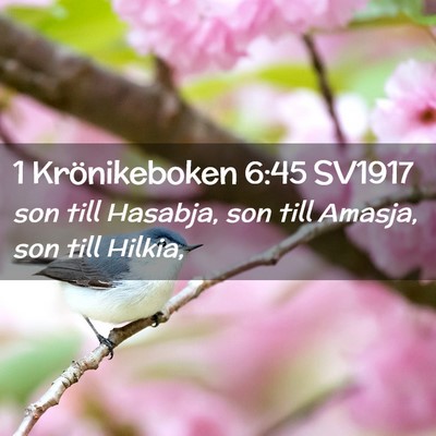 Picture 02 - 1 Krönikeboken 6:45 SV1917 - son till Hasabja, son till Amasja, son till - Bible Verse Picture