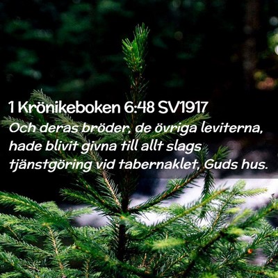Picture 02 - 1 Krönikeboken 6:48 SV1917 - Och deras bröder, de övriga leviterna, hade - Bible Verse Picture