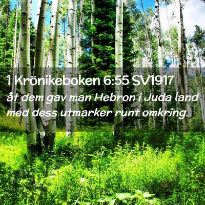 Picture 02 - 1 Krönikeboken 6:55 SV1917 - åt dem gav man Hebron i Juda land med dess - Bible Verse Picture