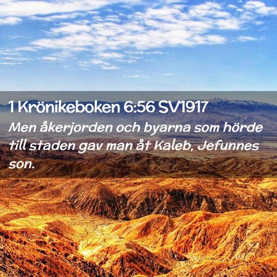 Picture 02 - 1 Krönikeboken 6:56 SV1917 - Men åkerjorden och byarna som hörde till staden - Bible Verse Picture