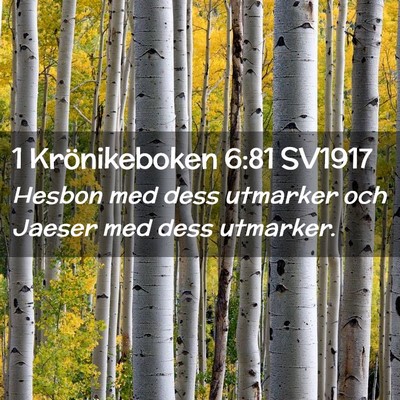 Picture 02 - 1 Krönikeboken 6:81 SV1917 - Hesbon med dess utmarker och Jaeser med dess - Bible Verse Picture