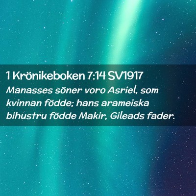 Picture 02 - 1 Krönikeboken 7:14 SV1917 - Manasses söner voro Asriel, som kvinnan födde; - Bible Verse Picture