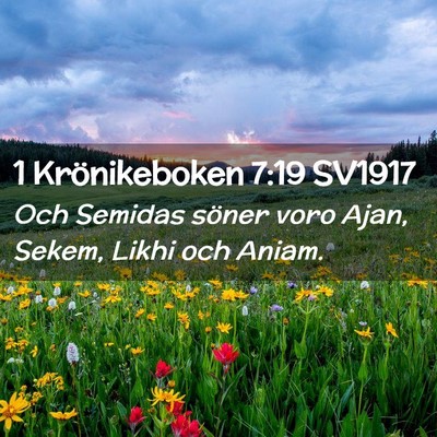 Picture 02 - 1 Krönikeboken 7:19 SV1917 - Och Semidas söner voro Ajan, Sekem, Likhi och - Bible Verse Picture