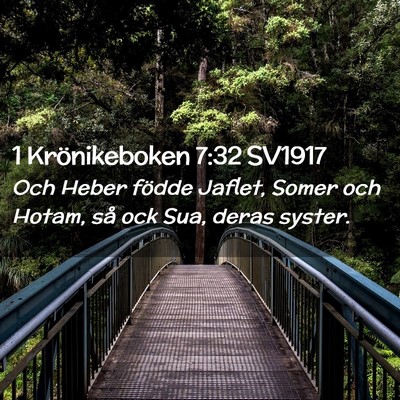Picture 02 - 1 Krönikeboken 7:32 SV1917 - Och Heber födde Jaflet, Somer och Hotam, så ock - Bible Verse Picture
