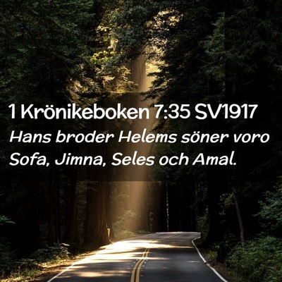 Picture 02 - 1 Krönikeboken 7:35 SV1917 - Hans broder Helems söner voro Sofa, Jimna, Seles - Bible Verse Picture