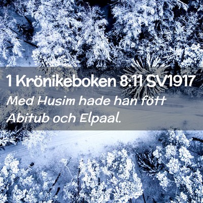 Picture 02 - 1 Krönikeboken 8:11 SV1917 - Med Husim hade han fött Abitub och - Bible Verse Picture