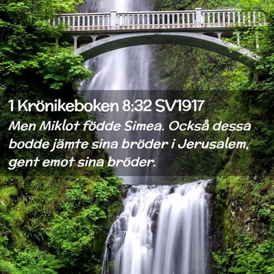 Picture 02 - 1 Krönikeboken 8:32 SV1917 - Men Miklot födde Simea. Också dessa bodde - Bible Verse Picture