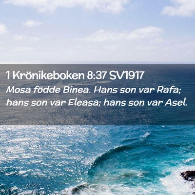 Picture 02 - 1 Krönikeboken 8:37 SV1917 - Mosa födde Binea. Hans son var Rafa; hans son - Bible Verse Picture