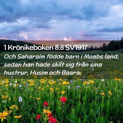 Picture 02 - 1 Krönikeboken 8:8 SV1917 - Och Saharaim födde barn i Moabs land, sedan han - Bible Verse Picture