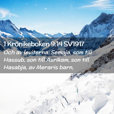 Picture 02 - 1 Krönikeboken 9:14 SV1917 - Och av leviterna: Semaja, som till Hassub, son - Bible Verse Picture