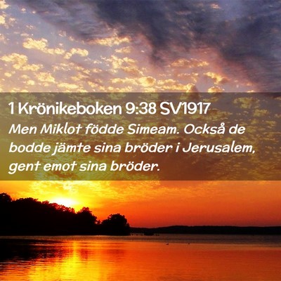 Picture 02 - 1 Krönikeboken 9:38 SV1917 - Men Miklot födde Simeam. Också de bodde jämte - Bible Verse Picture