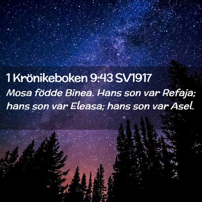 Picture 02 - 1 Krönikeboken 9:43 SV1917 - Mosa födde Binea. Hans son var Refaja; hans son - Bible Verse Picture