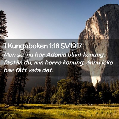 Picture 02 - 1 Kungaboken 1:18 SV1917 - Men se, nu har Adonia blivit konung, fastän du, - Bible Verse Picture