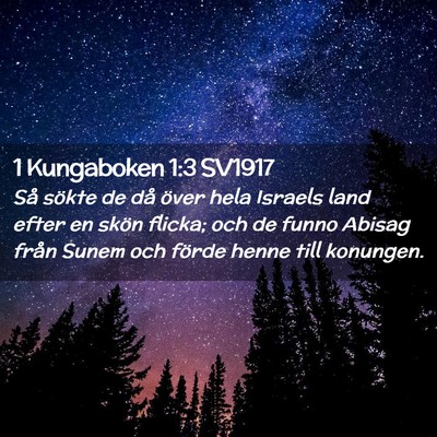 Picture 02 - 1 Kungaboken 1:3 SV1917 - Så sökte de då över hela Israels land efter - Bible Verse Picture