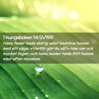 Picture 02 - 1 Kungaboken 1:6 SV1917 - Hans fader hade aldrig velat bedröva honom med - Bible Verse Picture