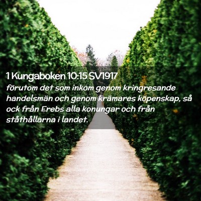 Picture 02 - 1 Kungaboken 10:15 SV1917 - förutom det som inkom genom kringresande - Bible Verse Picture
