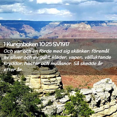 Picture 02 - 1 Kungaboken 10:25 SV1917 - Och var och en förde med sig skänker: föremål - Bible Verse Picture
