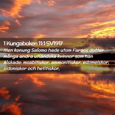 Picture 02 - 1 Kungaboken 11:1 SV1917 - Men konung Salomo hade utom Faraos dotter många - Bible Verse Picture